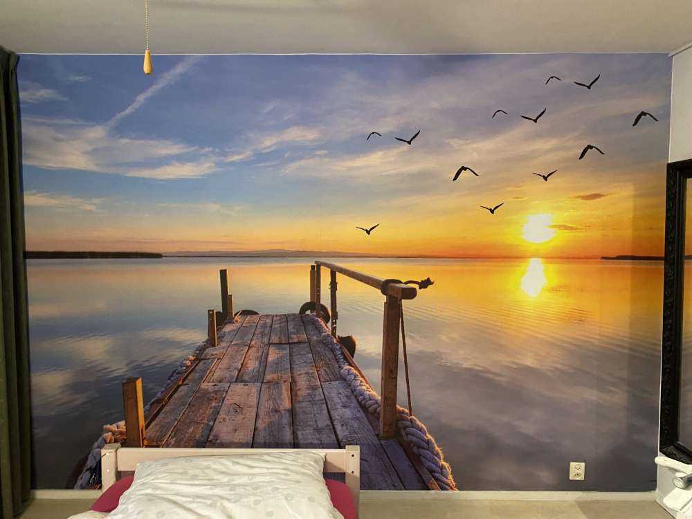 Oiseaux au-dessus de la mer