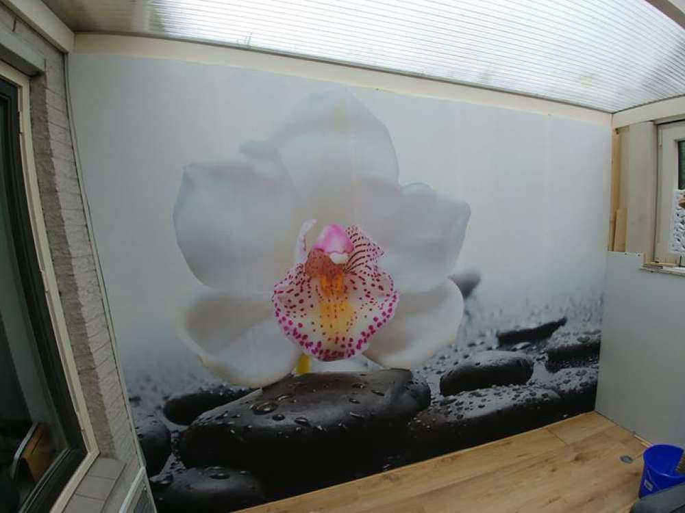 Orchidée blanche
