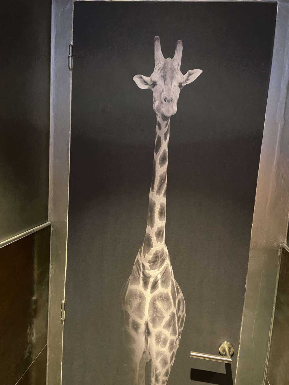 Girafe en noir et blanc