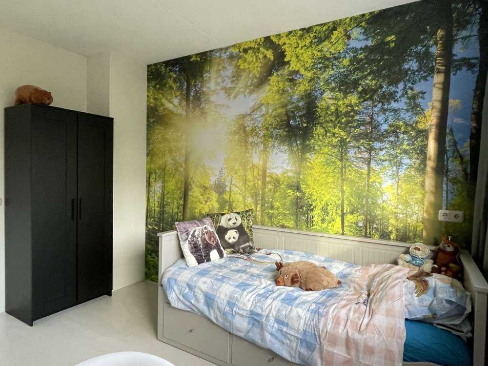 Une forêt avec des rayons de soleil