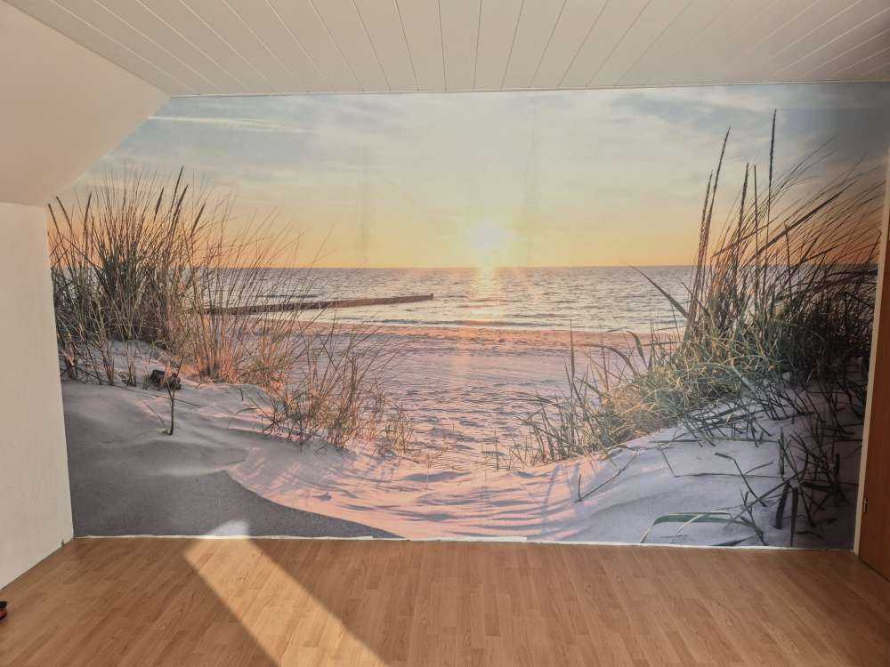 Plage de dunes avec coucher de soleil