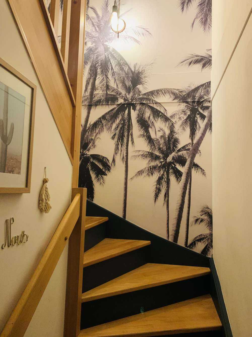 Palmiers en noir et blanc