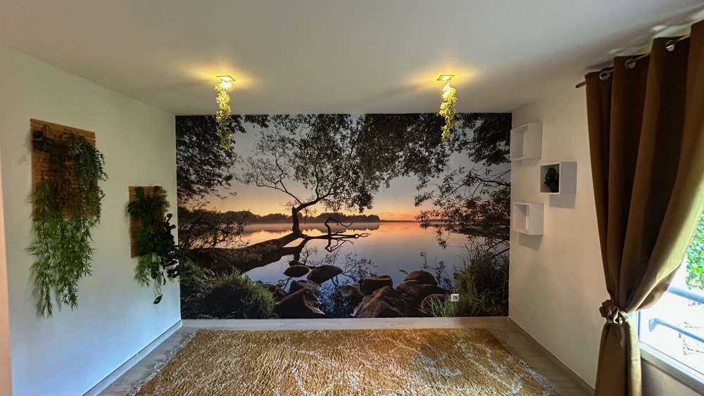 Lake view