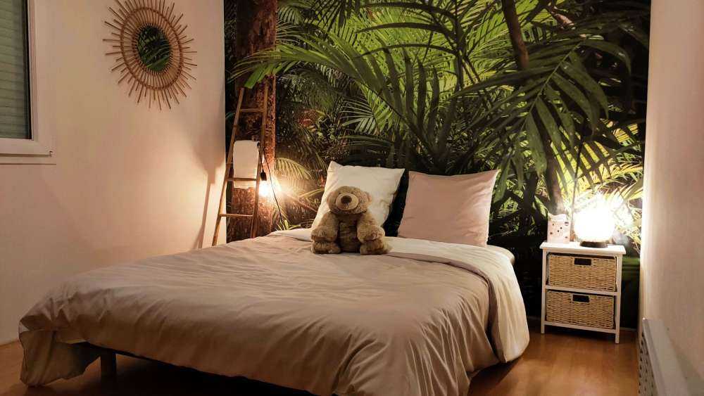 Forêt tropicale humide