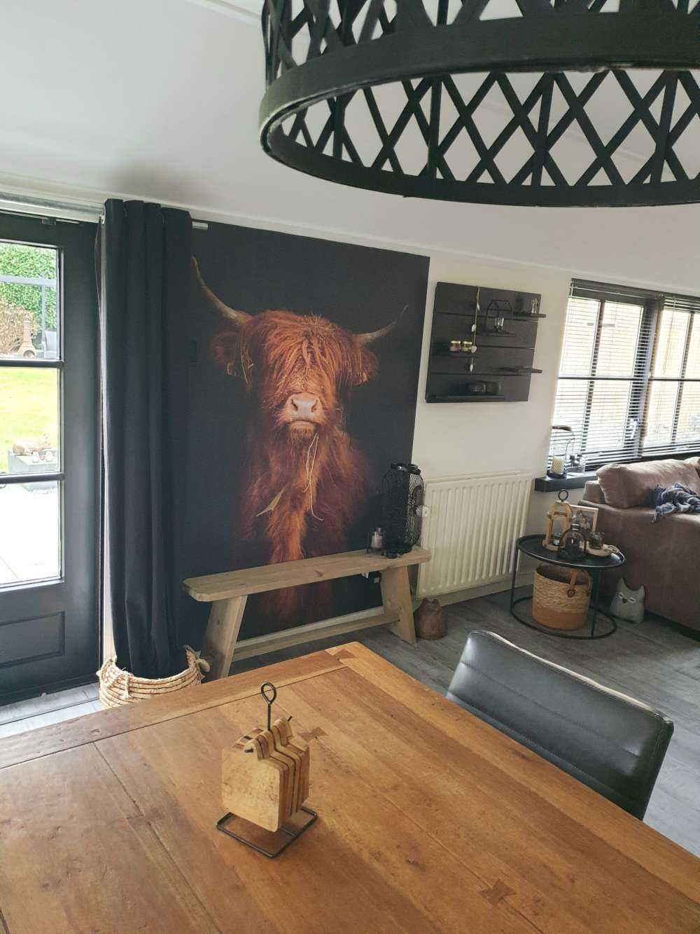 Portrait Scottish Highlander