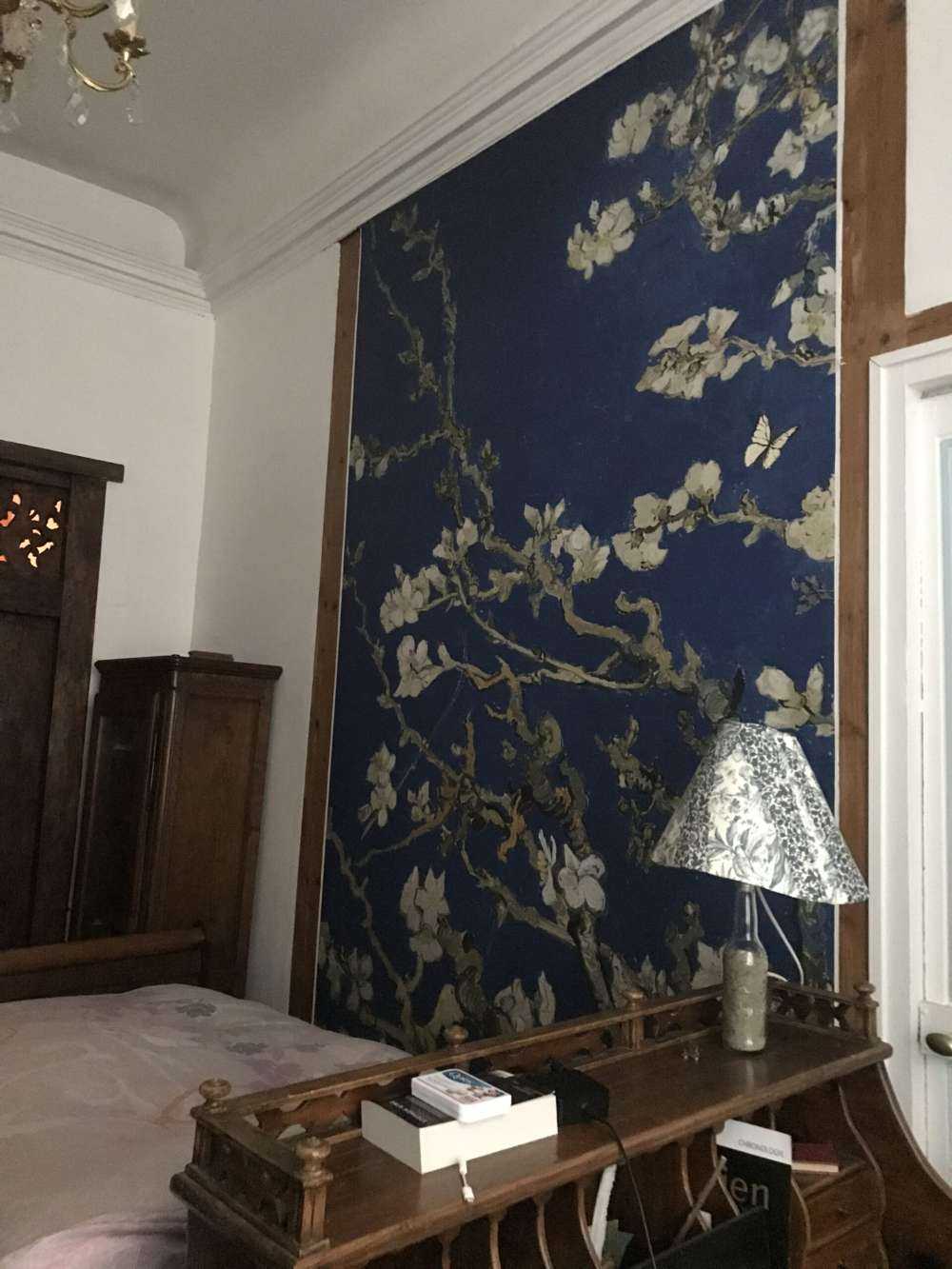 Fleur d'amandier dans la nuit