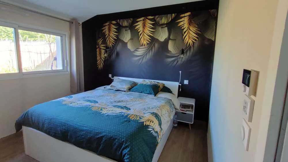 Feuilles sur fond sombre