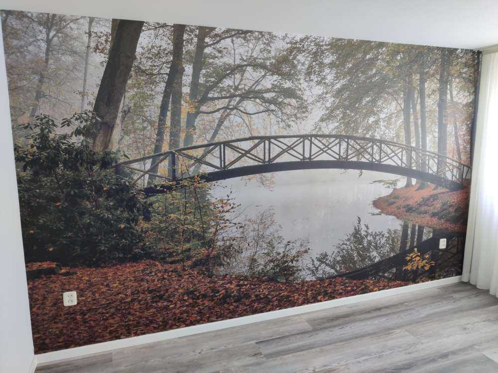 Petit pont entre les arbres