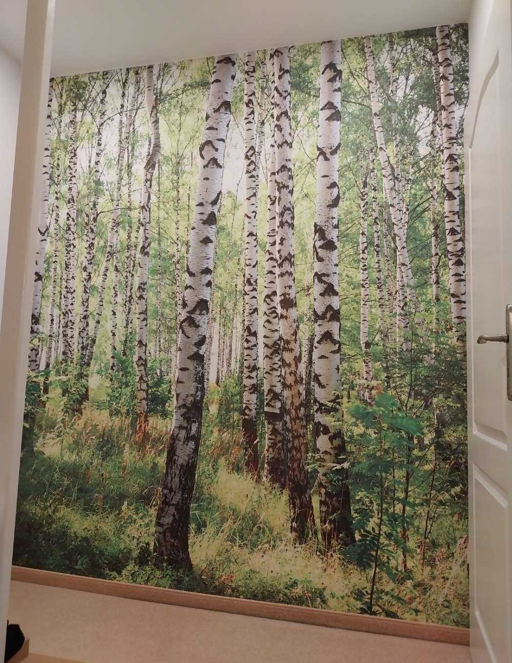 Troncs d'arbres