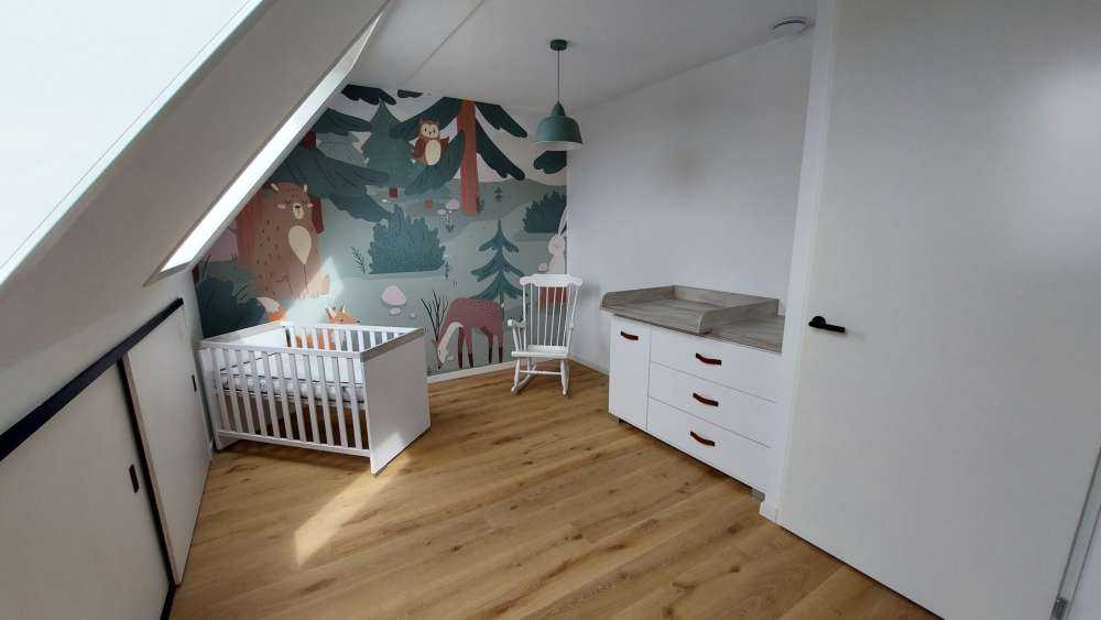 Forêt avec des animaux