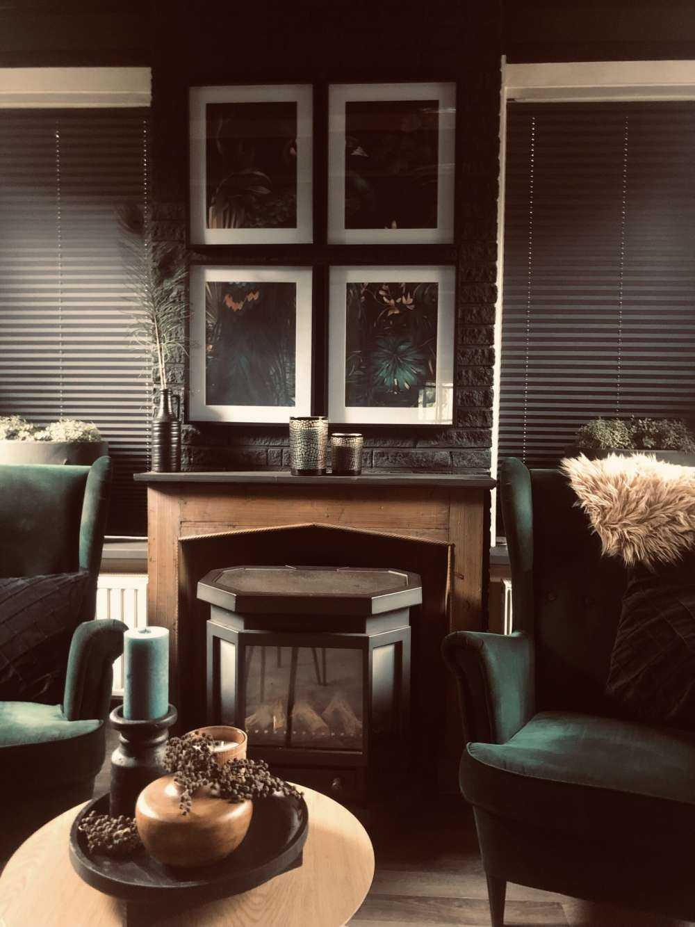 Beauté Nocturne du Paon