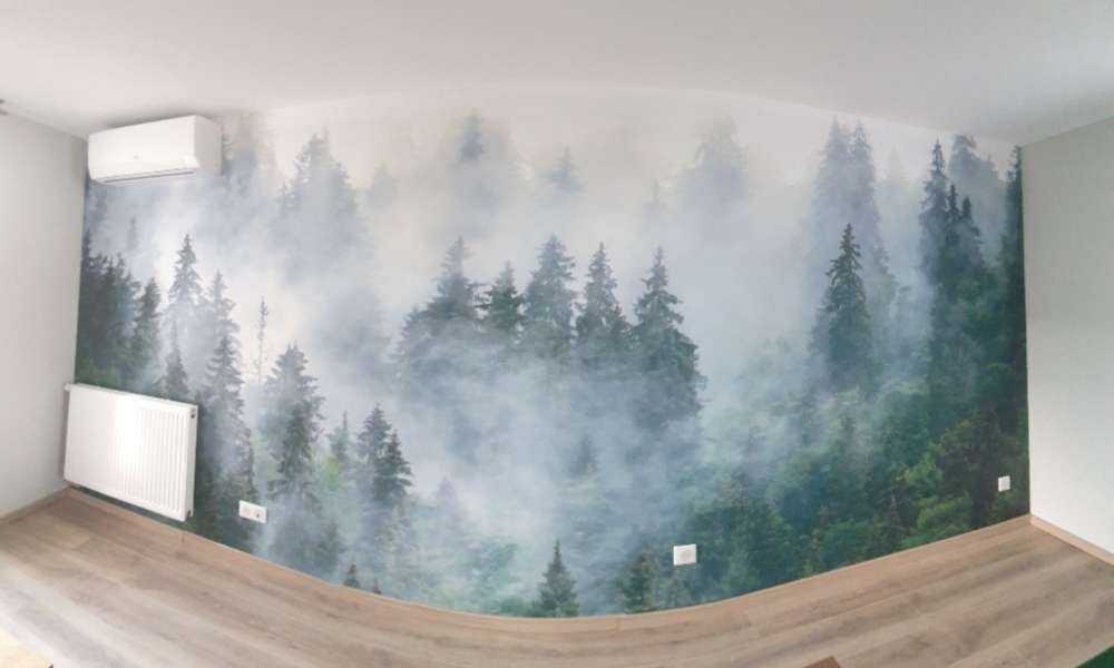 Paysage brumeux avec des arbres verts