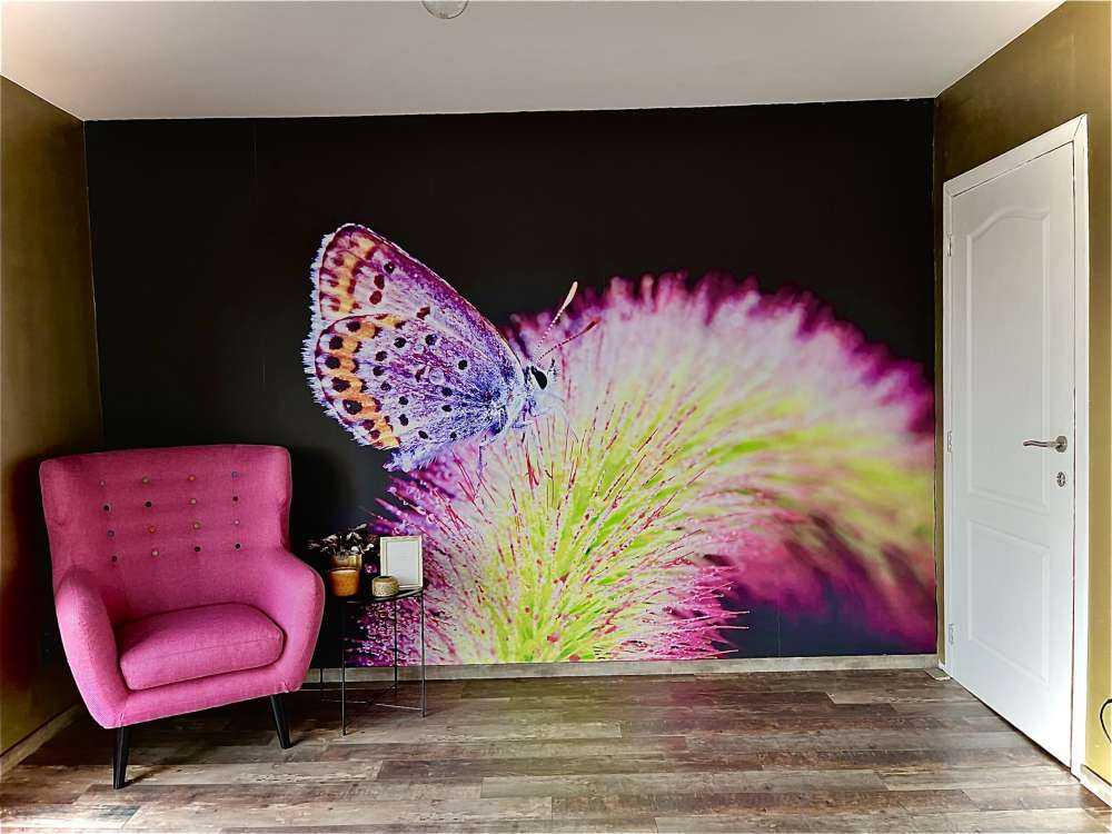 Papillon rouge sur une fleur