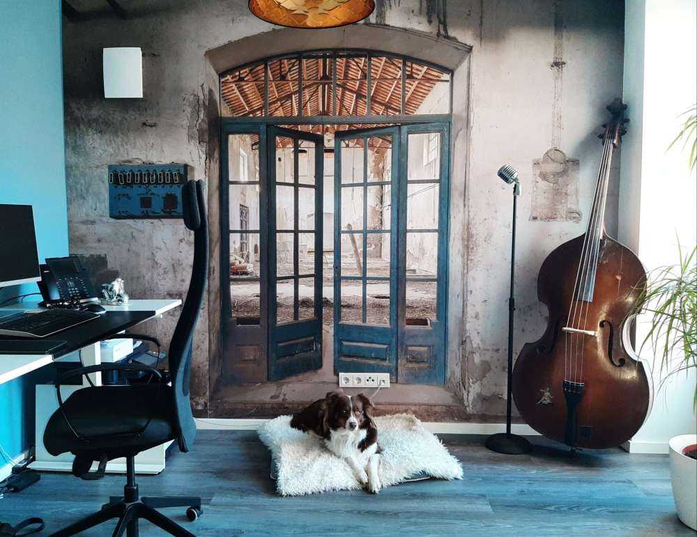 Portes bleues