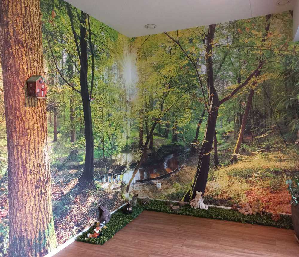 Forêt avec un ruisseau