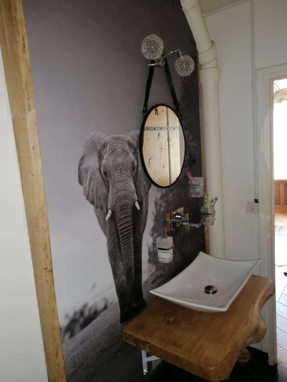 Eléphant au coucher du soleil