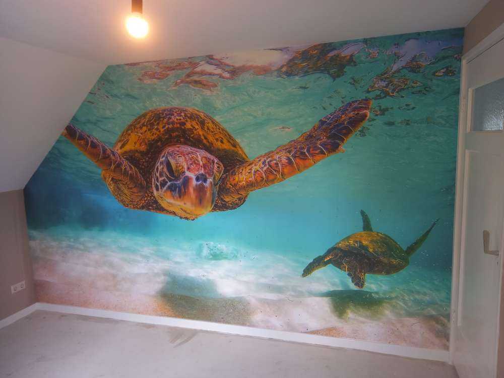 Tortue de mer dans l'océan