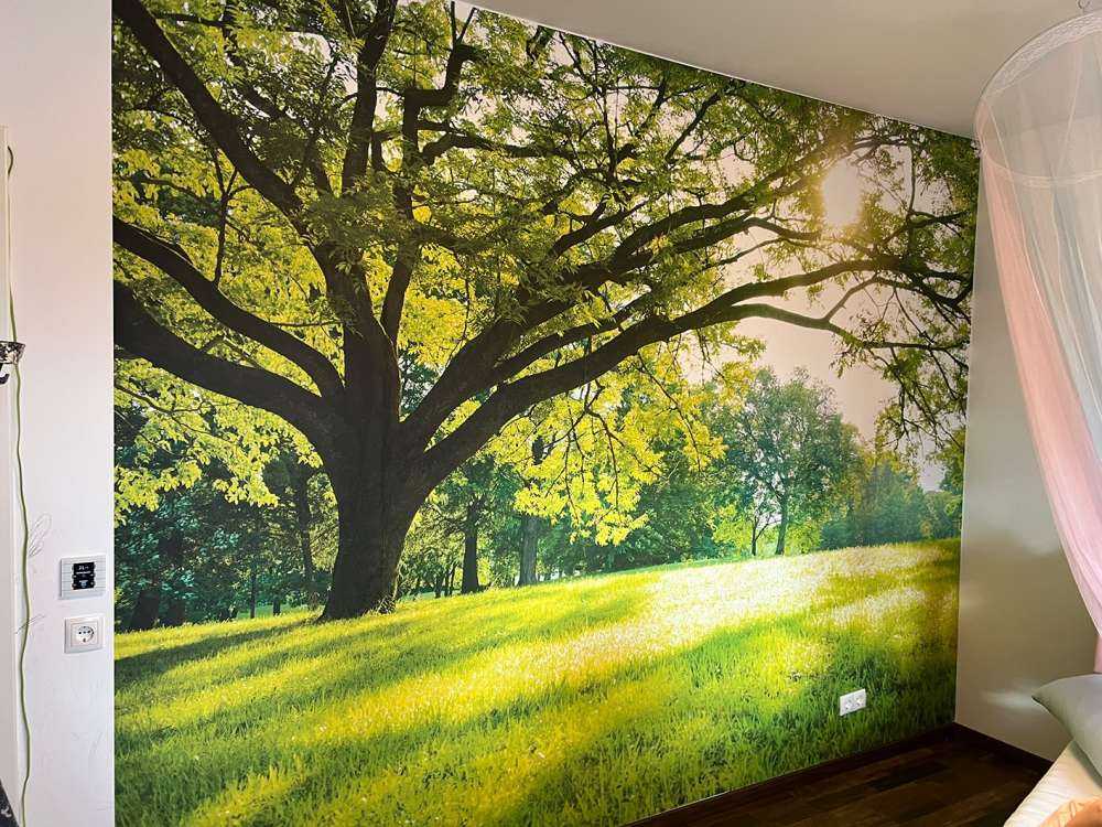 Bel arbre avec de l'herbe verte