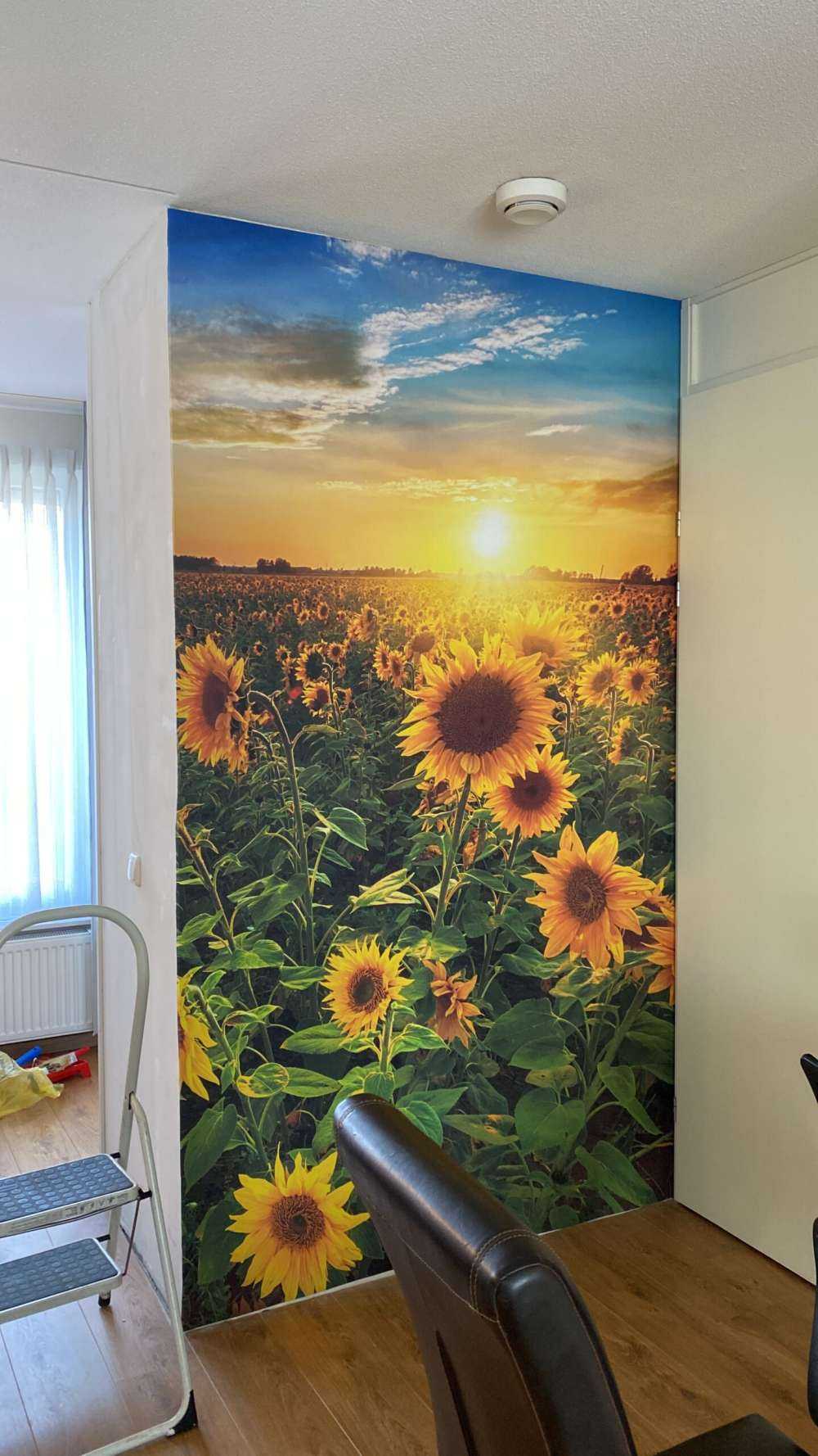 Un beau champ de tournesols