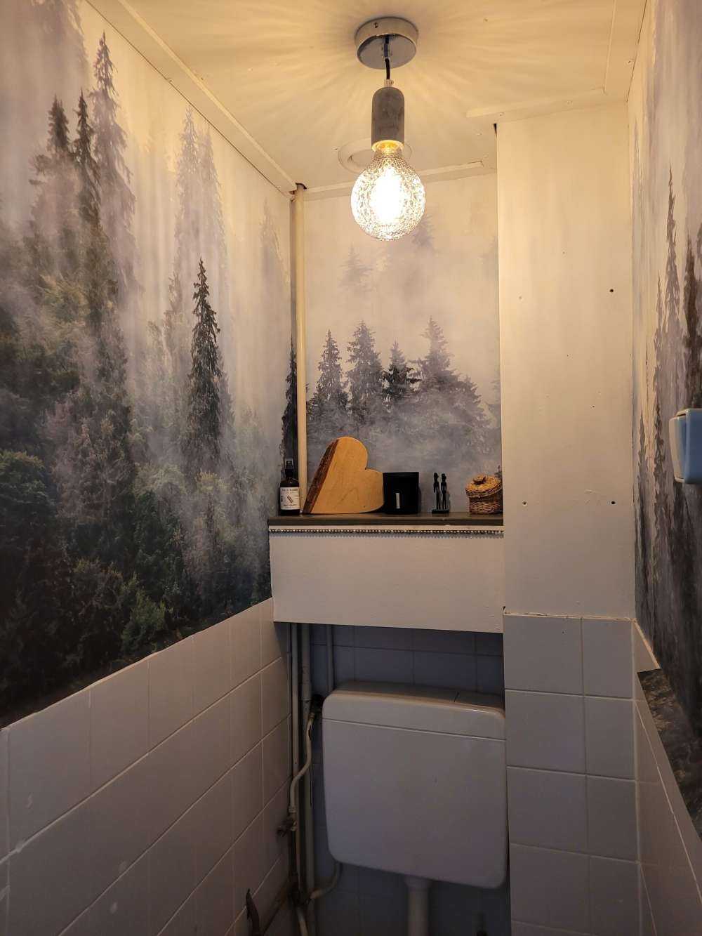 Paysage brumeux avec des arbres verts