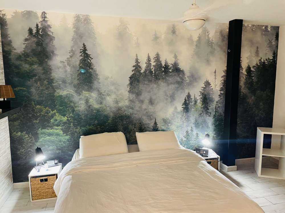 Paysage brumeux avec des arbres verts