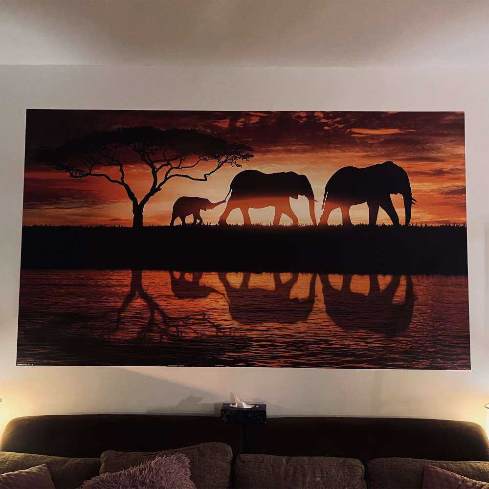Les éléphants dans la savane