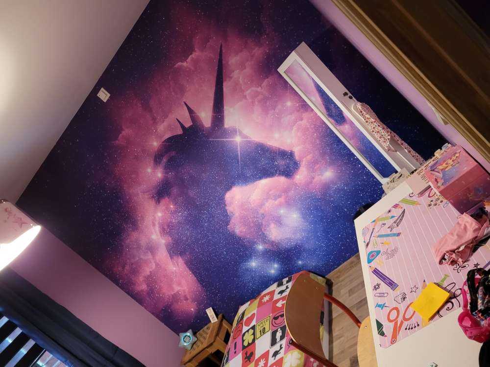 Silhouette de licorne