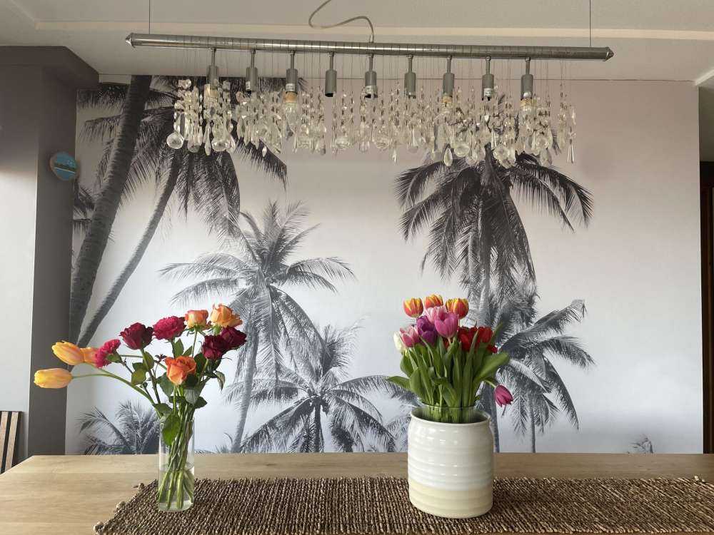 Palmiers en noir et blanc