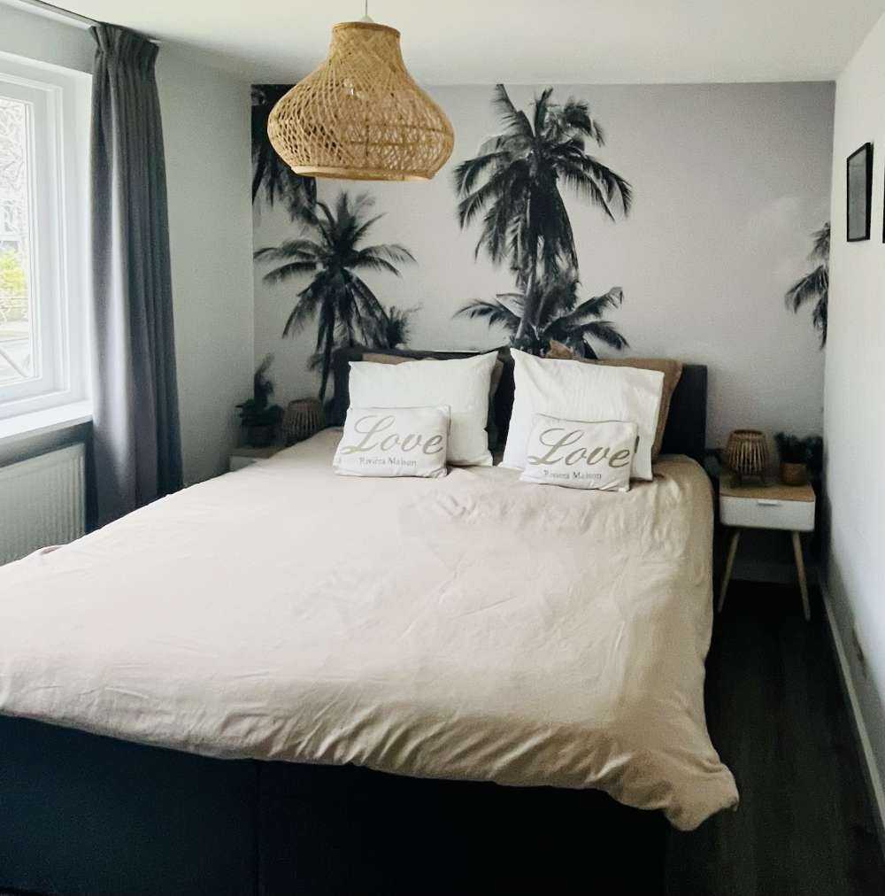 Palmiers en noir et blanc