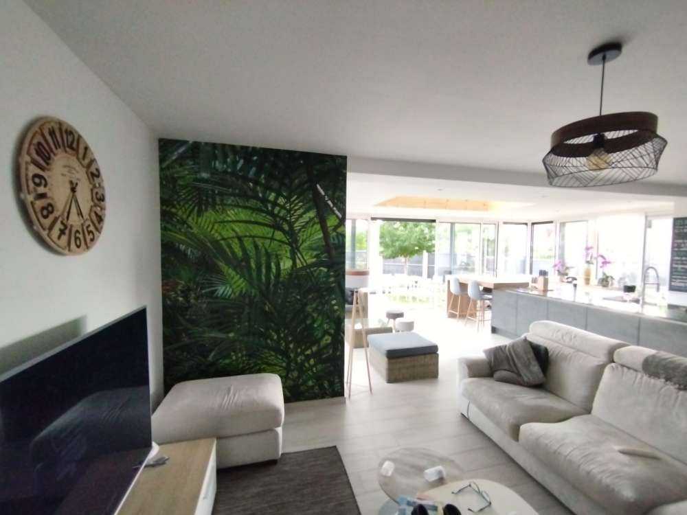 Forêt tropicale humide