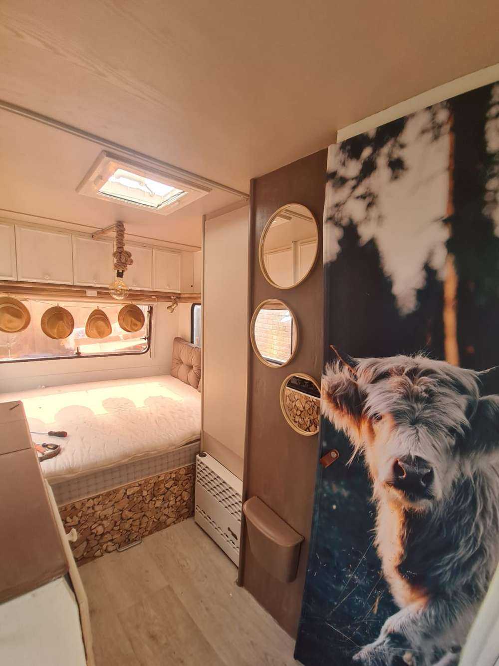 Louveteau écossais Highlander