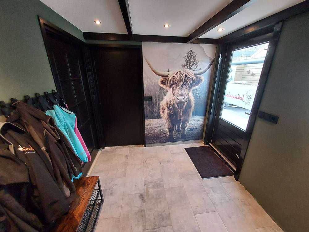 Le Highland écossais au bord de la forêt