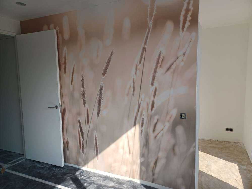 Lumière du soleil à travers la prairie