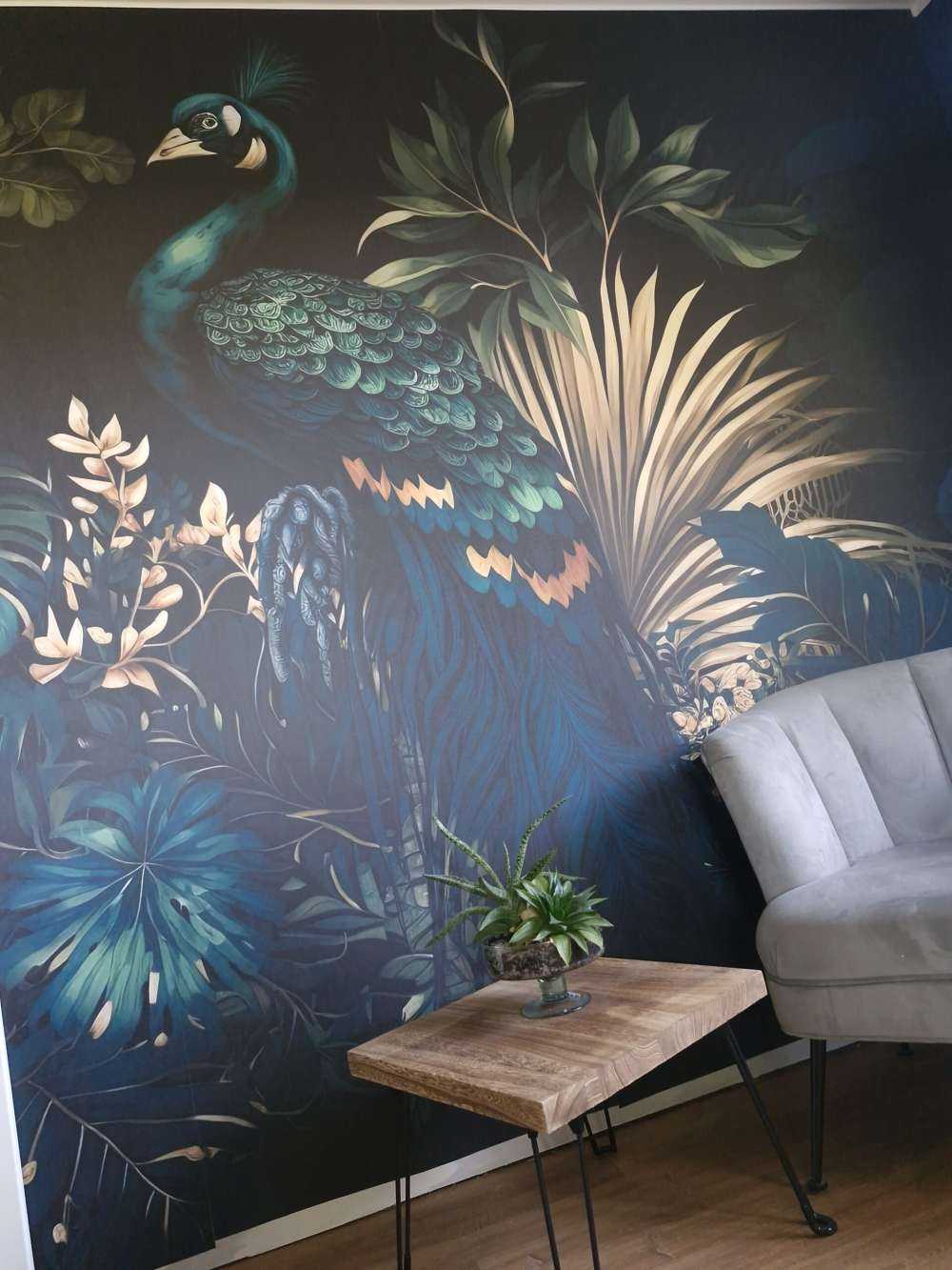 Beauté Nocturne du Paon