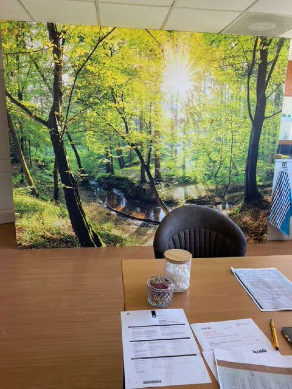 Forêt avec un ruisseau