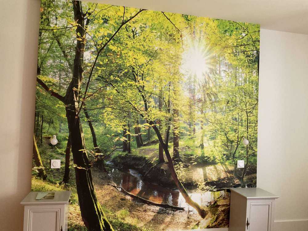 Forêt avec un ruisseau