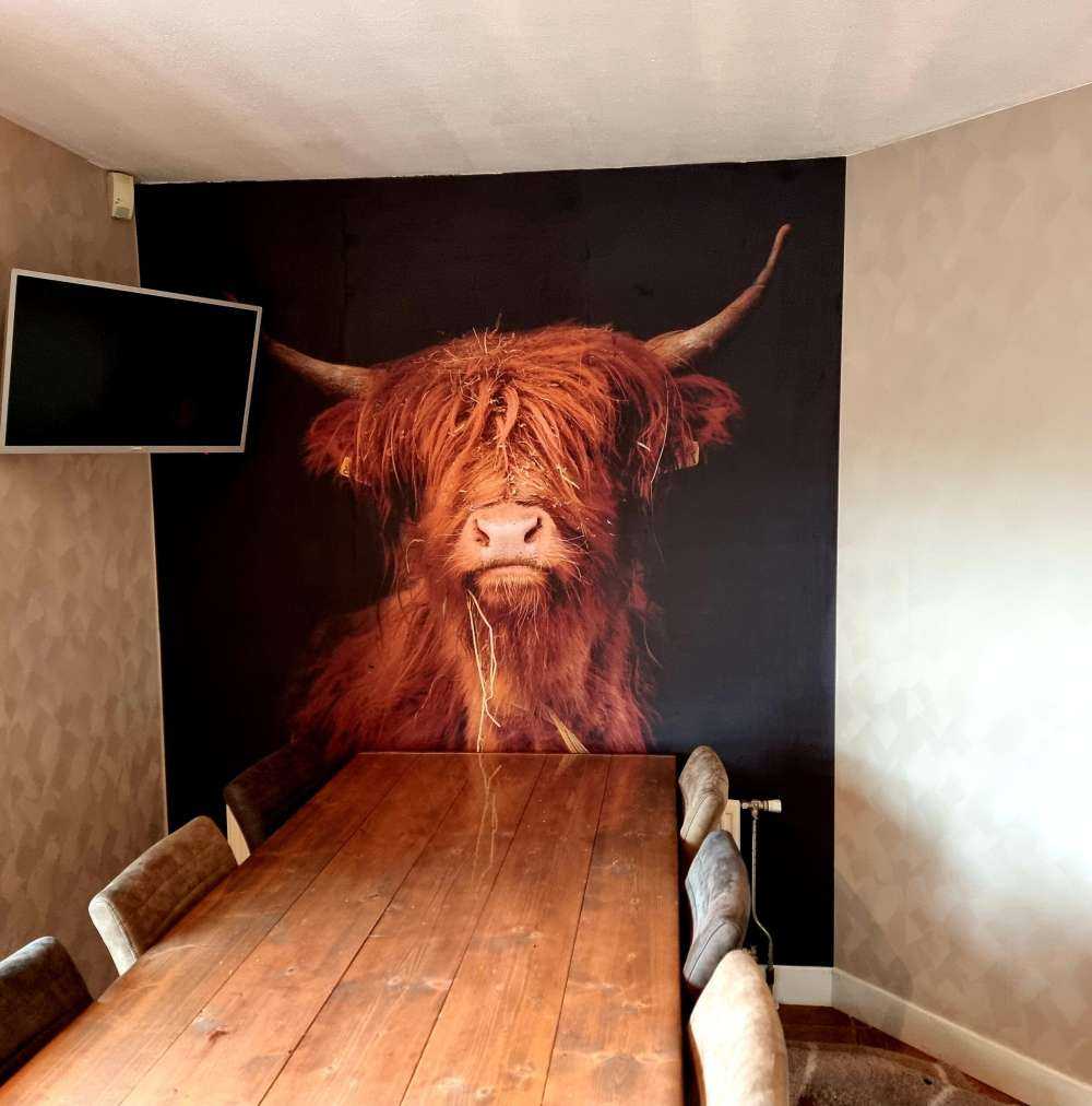 Portrait Scottish Highlander