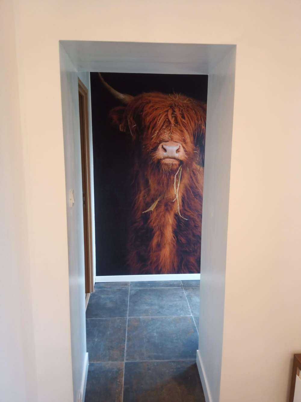 Portrait Scottish Highlander