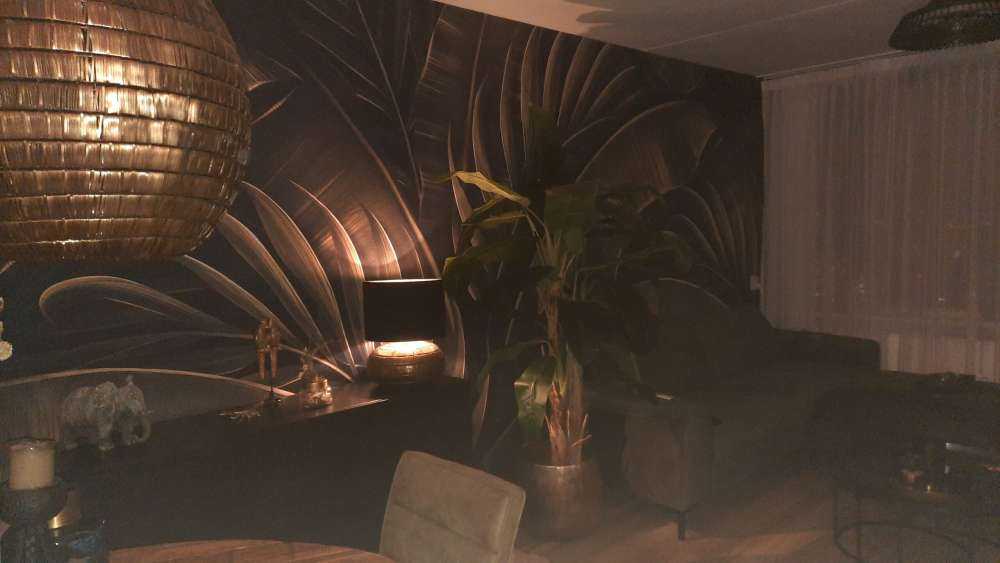 Feuilles de bananier et de palmier