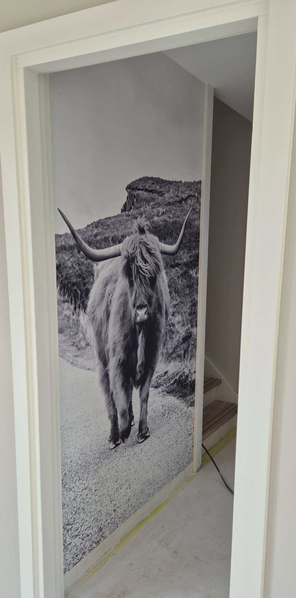 Le Highland écossais sur la route