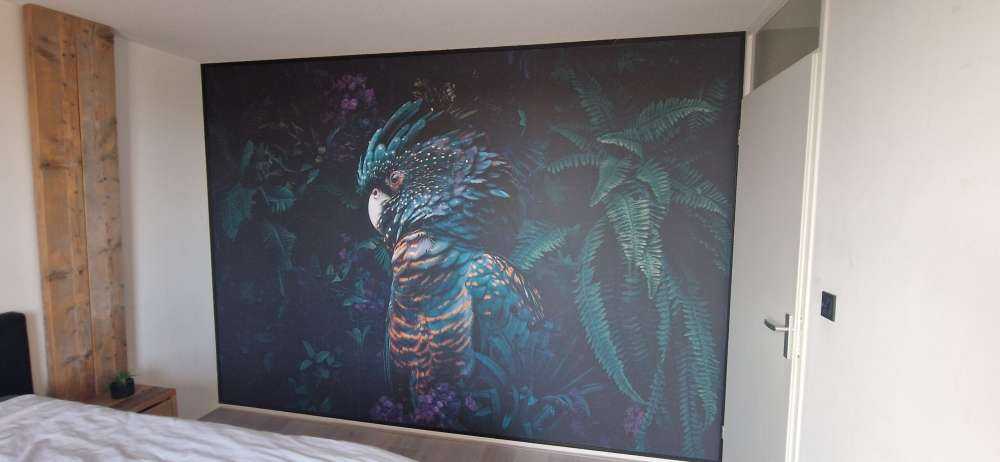 Jungle Cockatoo