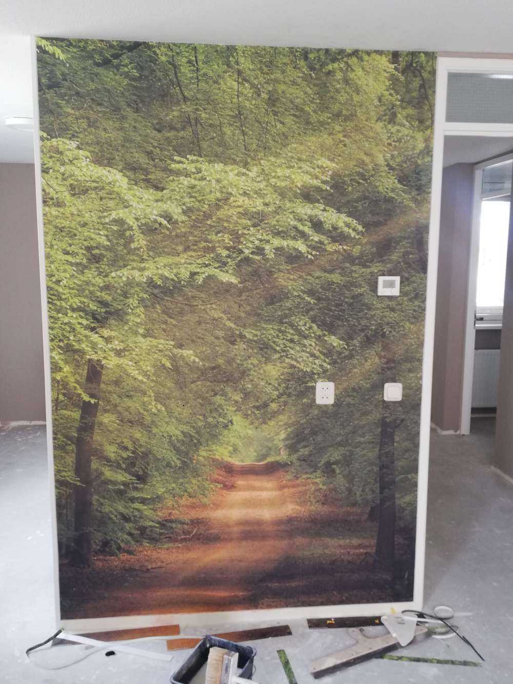 Sentier à travers la forêt avec des rayons de soleil