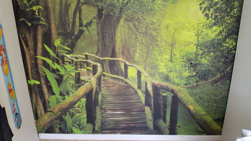 Pont en bois à travers une jungle verte