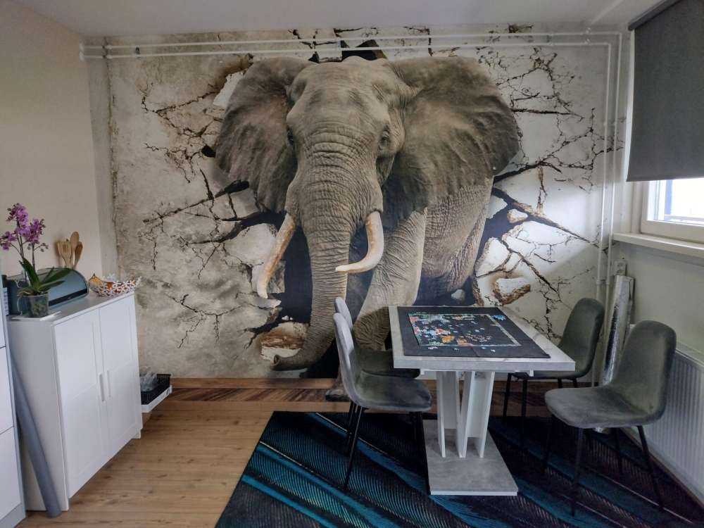 Grand éléphant hors du mur