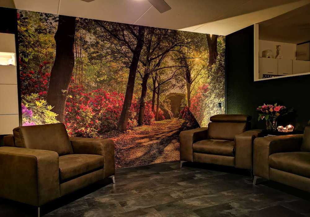 Lever de soleil sur le chemin avec des rhododendrons