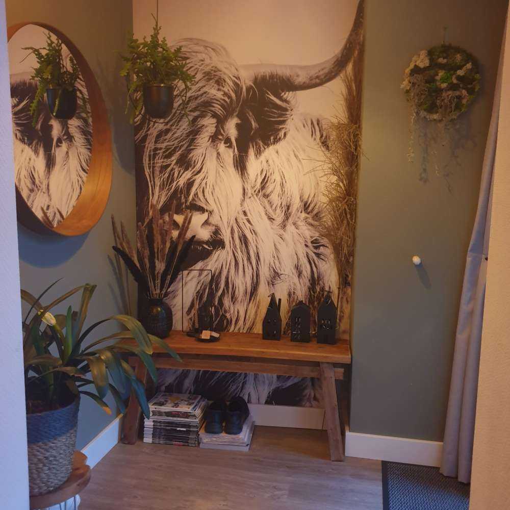 Le Highland écossais en noir et blanc