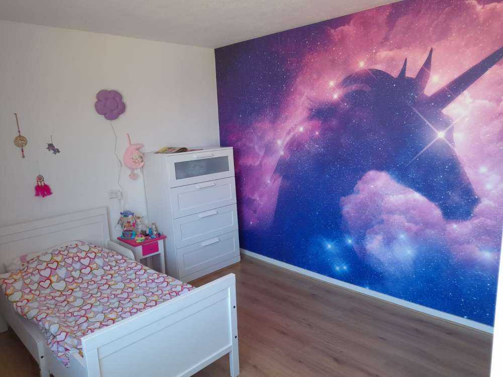 Silhouette de licorne