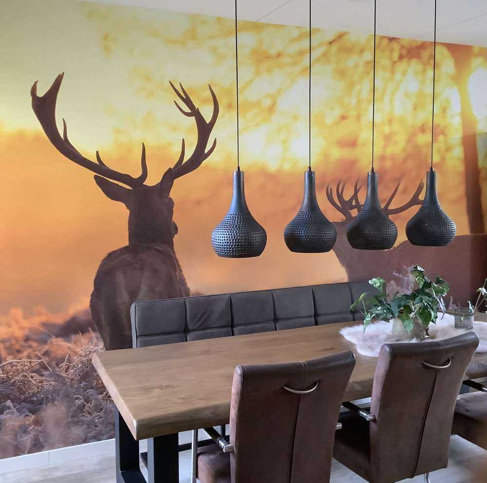 Cerfs au coucher du soleil