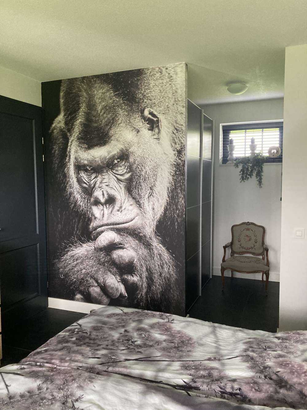 Gros plan d'un gorille