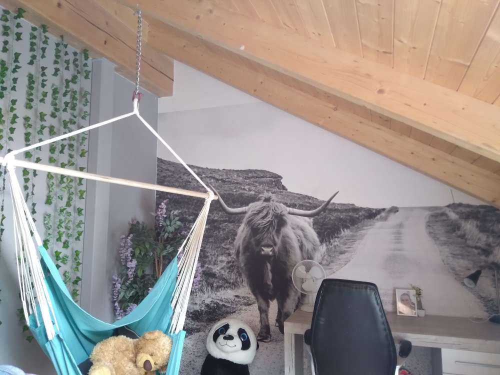 Le Highland écossais sur la route